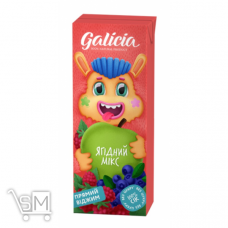 Сік Galicia ягідний із мякоттю 200мл Сік Galicia ягідний із мякоттю 200мл